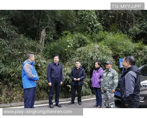 2026年3月份新闻广州乒乓球队的区域防守策略与技术分析深度探讨